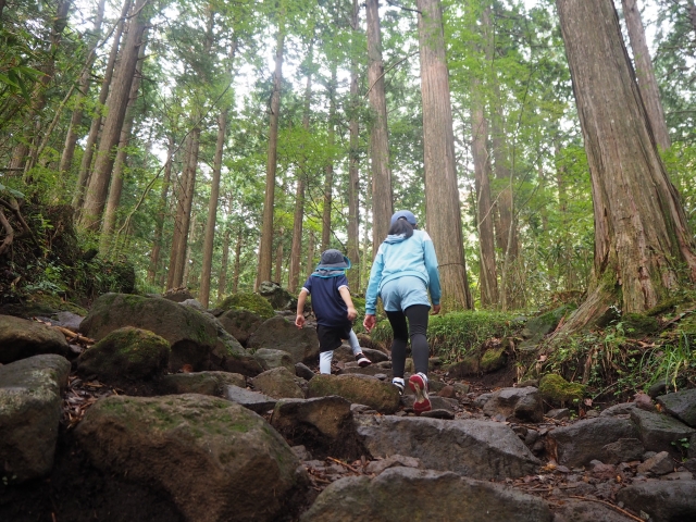 低山ハイキング